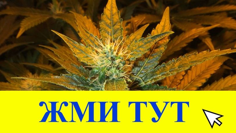 Купить наркотики в Тулуне